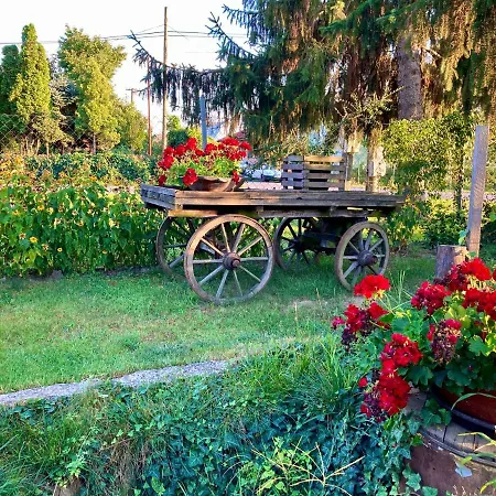 Guest house Ubytovanie U Aranky *