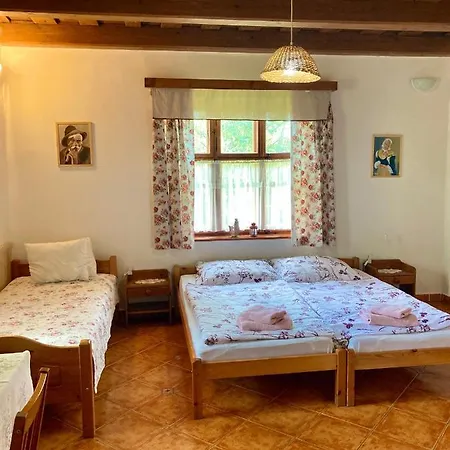 Guest house Ubytovanie U Aranky *